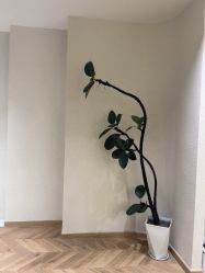 -美丽妈妈产后恢复中心(南桥旗舰店)