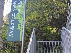 -南山植物园