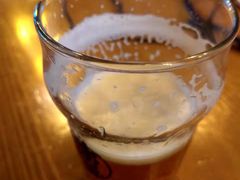 -雪梨精酿 Sydney Coast Brewing(沁春家园店)