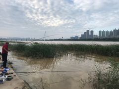 -灞河西岸滨河公园