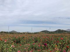 -西海岸生态观光园