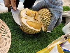 -都念榴莲·城市榴莲