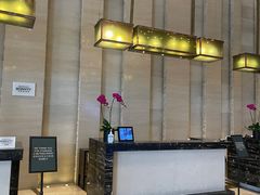 -广交会威斯汀酒店