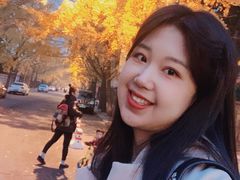 -三里屯东五街银杏大道