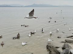 -深圳湾公园(南山区)