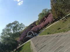 -石家庄市植物园