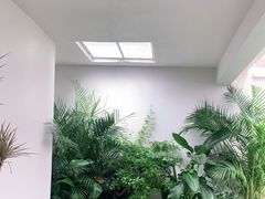 -漫笙舍Manse·咖啡·民宿