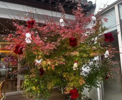 -AGE LOCK 锁龄美肌