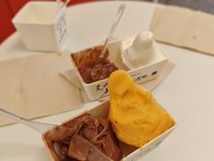 -野人先生现做冰淇淋(北京王府井东方新天地店)