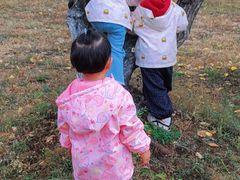 -乌素图国家森林公园