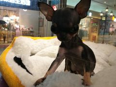 -乐宠宠物店(世纪金源店)