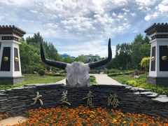 -武清南湖绿博园