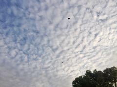 -杭州城北体育公园