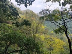 -黔灵山公园