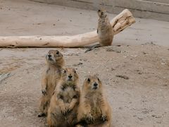 -南戴河国际娱乐中心