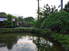 -花溪雨·森林餐厅(石基店)
