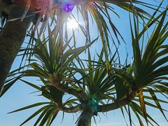 -碧桂园十里银滩