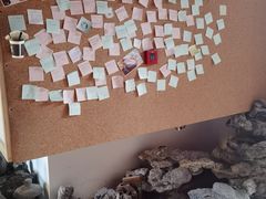 -白兔子密室(长寿路店)