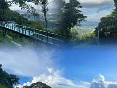 -黄埔油麻山森林公园