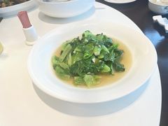 -四季春