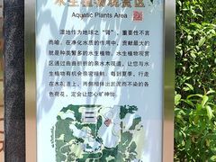 -翠湖国家城市湿地公园
