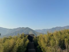 -大唐贡茶院