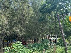 -西部长青自然儿童乐园