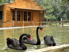 -南戴河国际娱乐中心