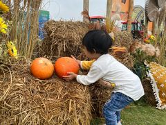 -中国天府农业博览园