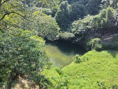 -鼎湖山风景区