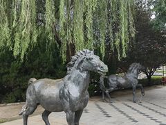 -元大都城垣遗址公园