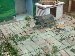 -青藏高原野生动物园