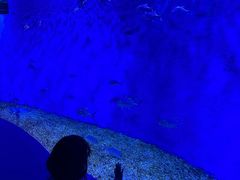 -波塞冬海底世界