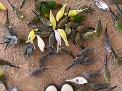 -珠海海泉湾神秘岛亲子乐园