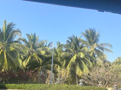 -日落吧·海景咖啡厅·餐酒吧·鸡尾酒·下午茶·乐队表演·浪漫夕阳·三亚文华东方酒店