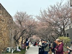 -国际非物质文化遗产博览园