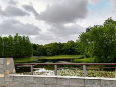 -长广溪湿地公园