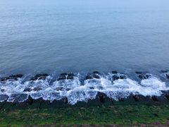 -海源公园