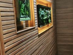 -前海沿·青岛菜(大拇指广场石老人店)