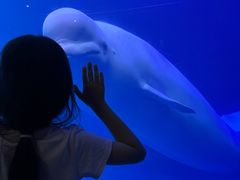 -大连圣亚海洋世界