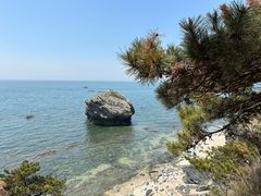 -大连金石滩滨海国家地质公园