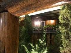 -Log Home Boutique Hotel
