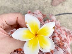 -低涌(地铁站)