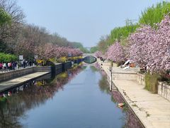 -元大都城垣遗址公园