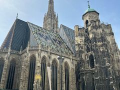 -斯蒂芬主教座堂(Stephansdom)