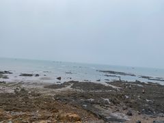 -大堂吧(大连金石滩绿发希尔顿度假酒店)