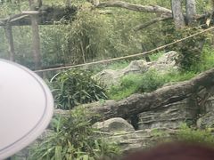 -武汉动物园