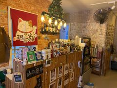 -名猫咖啡馆·撸猫·拼豆