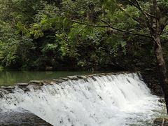 -石台牯牛降景区
