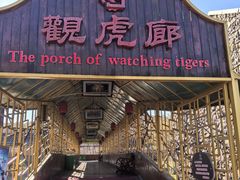 -横道河子东北虎林园